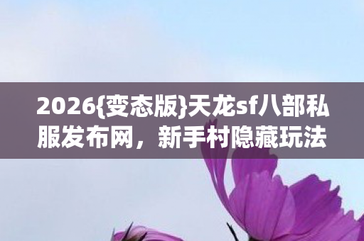 天龙sf八部私服发布网图片