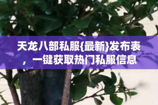 一键获取热门私服信息图片