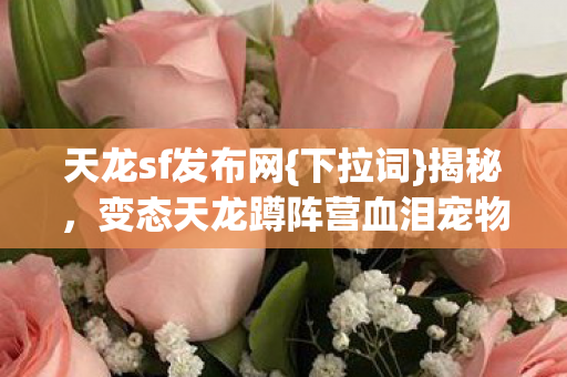 变态天龙蹲阵营血泪宠物技能坑图片