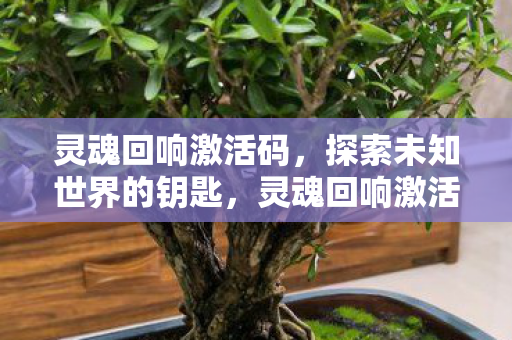 灵魂回响激活码，探索未知世界的钥匙，灵魂回响激活码，解锁未知世界的神秘钥匙
