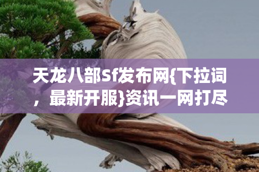 天龙八部Sf发布网图片