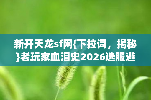 老玩家血泪史2026选服避坑必看图片