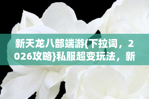 新人技能装备解析图片