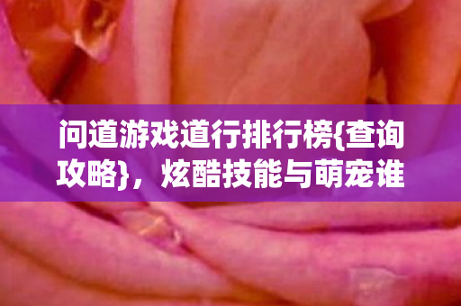 问道游戏道行排行榜{查询攻略},炫酷技能与萌宠谁更吸睛? 问道游戏道行排行榜{查询攻略},炫酷技能与萌宠谁更吸睛?