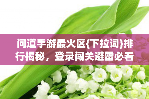 登录闯关避雷必看图片