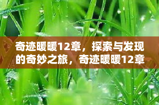奇迹暖暖12章，探索与发现的奇妙之旅，奇迹暖暖12章，探索与发现的奇妙之旅