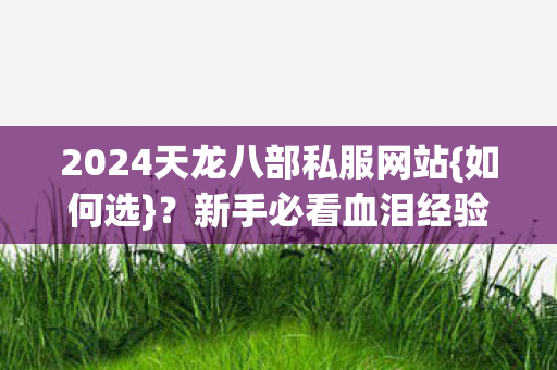 2024天龙八部私服网站{如何选}？新手必看血泪经验分享