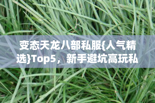 变态天龙八部私服图片