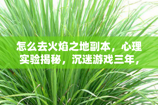 怎么去火焰之地副本,心理实验揭秘,沉迷游戏三年,细思极恐的再来一局陷阱 怎么去火焰之地副本,心理实验揭秘,沉迷游戏三年,细思极恐的再来一局陷阱