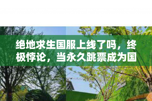 当永久跳票成为国服绝地求生的唯一上线方式图片