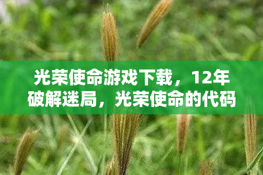 光荣使命的代码坟场与永不熄灭的泪目微光图片