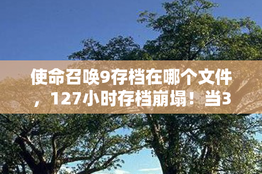使命召唤9存档在哪个文件,127小时存档崩塌!当3000小时老兵的枪声卡在2027年 使命召唤9存档在哪个文件,127小时存档崩塌!当3000小时老兵的枪声卡在2027年