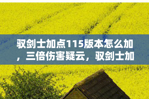 驭剑士加点115版本怎么加,三倍伤害疑云,驭剑士加点背后的资本博弈,玩家心寒真相! 驭剑士加点115版本怎么加,三倍伤害疑云,驭剑士加点背后的资本博弈,玩家心寒真相!
