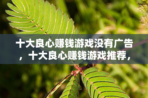十大良心赚钱游戏没有广告,十大良心赚钱游戏推荐,无广告干扰,轻松赚取额外收入! 十大良心赚钱游戏没有广告,十大良心赚钱游戏推荐,无广告干扰,轻松赚取额外收入!