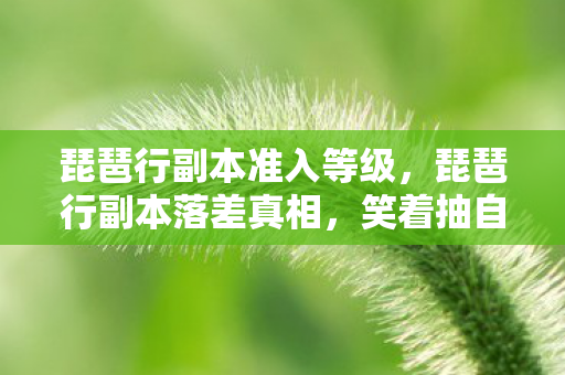 琵琶行副本准入等级，琵琶行副本落差真相，笑着抽自己嘴巴，笑着笑着却哭了