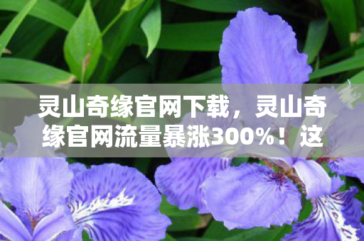 灵山奇缘官网下载，灵山奇缘官网流量暴涨300%！这组数据撕开国产MMO最后的遮羞布