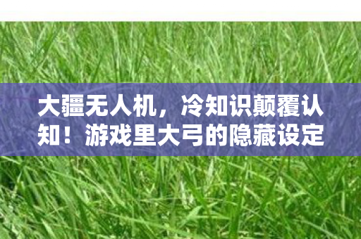 大疆无人机,冷知识颠覆认知!游戏里大弓的隐藏设定,让你目瞪口呆! 大疆无人机,冷知识颠覆认知!游戏里大弓的隐藏设定,让你目瞪口呆!