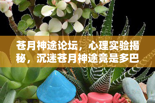 沉迷苍月神途竟是多巴胺陷阱图片