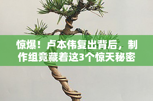 惊爆！卢本伟复出背后，制作组竟藏着这3个惊天秘密！