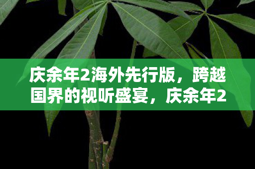 庆余年2海外先行版，跨越国界的视听盛宴，庆余年2海外先行版，跨越国界的视听盛宴