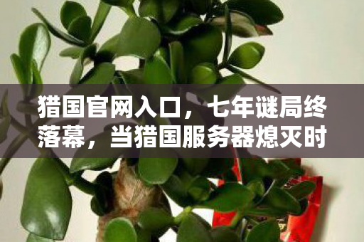 猎国官网入口，七年谜局终落幕，当猎国服务器熄灭时，我听见全服泪目的回响