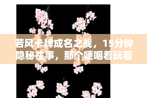 那个哽咽着玩若风卡牌的少年图片