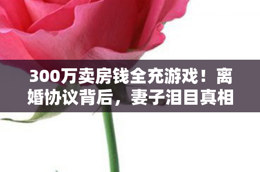 300万卖房钱全充游戏图片