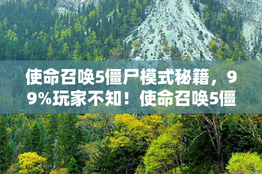 使命召唤5僵尸模式隐藏机制竟让菜鸟秒变战神图片