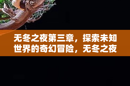 无冬之夜第三章,探索未知世界的奇幻冒险,无冬之夜第三章,探索未知世界的奇幻冒险 无冬之夜第三章,探索未知世界的奇幻冒险,无冬之夜第三章,探索未知世界的奇幻冒险