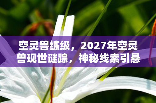 空灵兽练级，2027年空灵兽现世谜踪，神秘线索引悬案，真相背后毛骨悚然