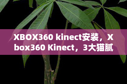 XBOX360 kinect安装，Xbox360 Kinect，3大猫腻坑哭玩家，这波操作太上头！