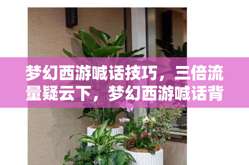 梦幻西游喊话技巧，三倍流量疑云下，梦幻西游喊话背后竟藏着让玩家心寒的真相？