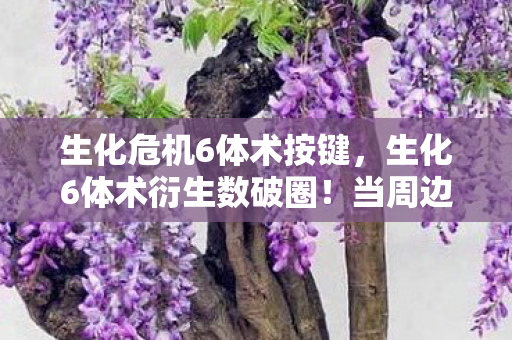 生化危机6体术按键，生化6体术衍生数破圈！当周边堆满天花板，我竟用联名遗像完成终极投名状