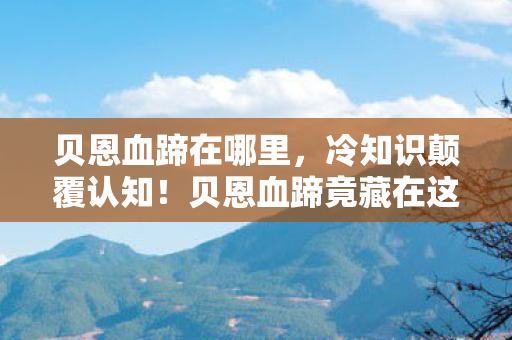 贝恩血蹄在哪里，冷知识颠覆认知！贝恩血蹄竟藏在这？真相让人目瞪口呆！
