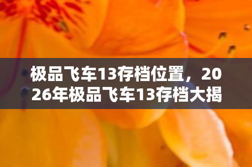 2026年极品飞车13存档大揭秘图片