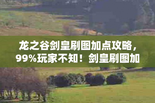 剑皇刷图加点竟因平台不同差3倍效率图片