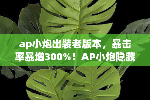 AP小炮隐藏机制曝光图片