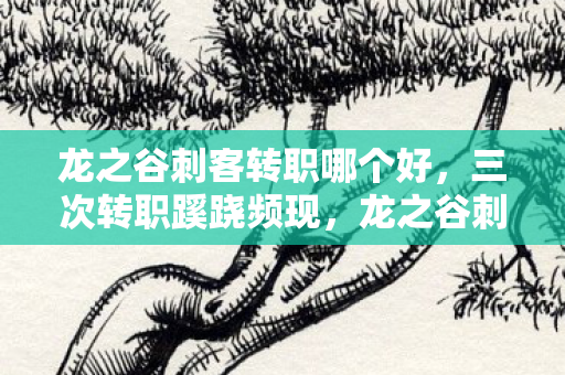 龙之谷刺客转职哪个好,三次转职蹊跷频现,龙之谷刺客背后真相让人后背发凉! 龙之谷刺客转职哪个好,三次转职蹊跷频现,龙之谷刺客背后真相让人后背发凉!