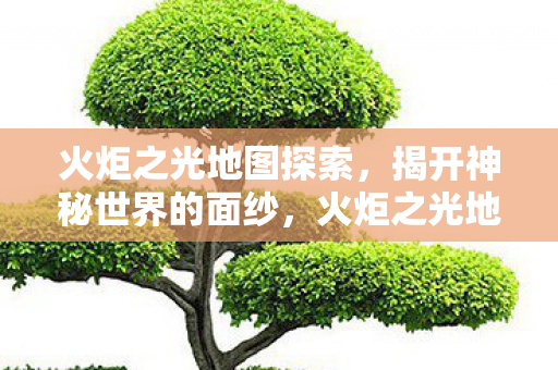 火炬之光地图探索，揭开神秘世界的面纱，火炬之光地图探索，揭开神秘世界的面纱