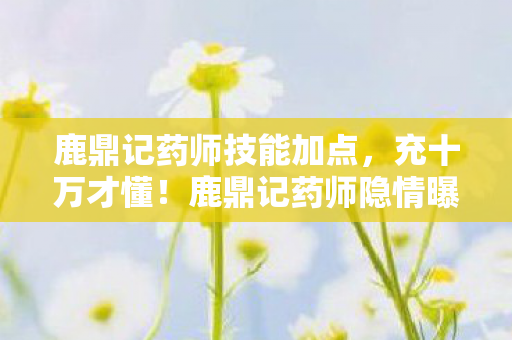鹿鼎记药师技能加点，充十万才懂！鹿鼎记药师隐情曝光，这砍氪套路真让人吓一跳！