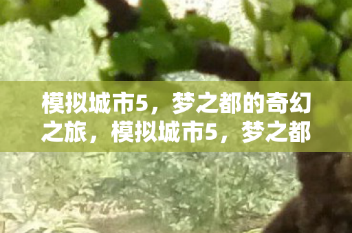 模拟城市5，梦之都的奇幻之旅，模拟城市5，梦之都的奇幻之旅