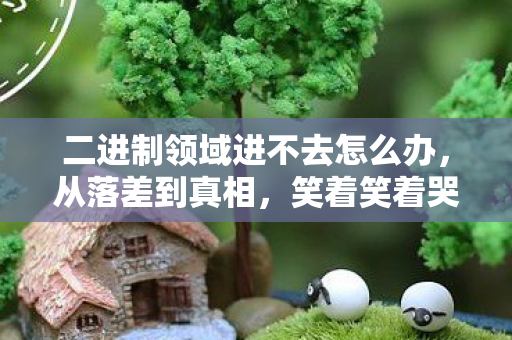 二进制领域竟成进不去的执念图片