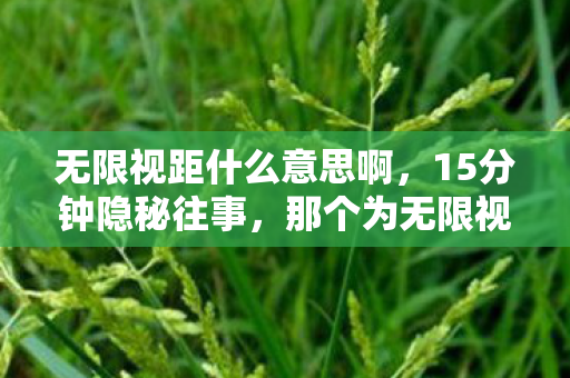 无限视距什么意思啊,15分钟隐秘往事,那个为无限视距哽咽的少年,如今还在吗? 无限视距什么意思啊,15分钟隐秘往事,那个为无限视距哽咽的少年,如今还在吗?