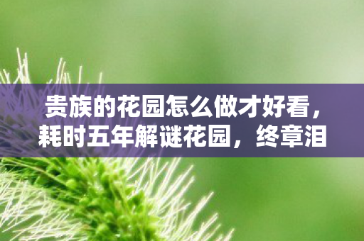 贵族的花园怎么做才好看图片