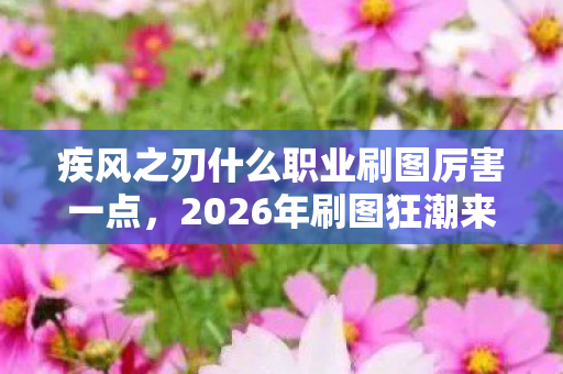 疾风之刃什么职业刷图厉害一点图片