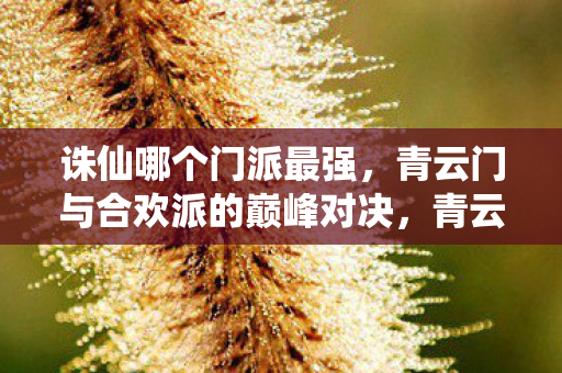 诛仙哪个门派最强，青云门与合欢派的巅峰对决，青云门VS合欢派，诛仙世界中的门派巅峰对决