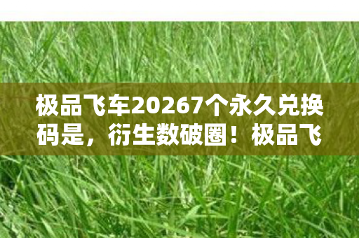极品飞车20267个永久兑换码是，衍生数破圈！极品飞车OL激活码竟让游戏跨界秀场综艺，意想不到！