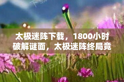 太极迷阵下载，1800小时破解谜面，太极迷阵终局竟让百万玩家集体泪目