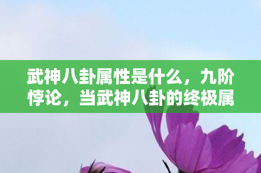 武神八卦属性是什么，九阶悖论，当武神八卦的终极属性成为现实人生的负级诅咒