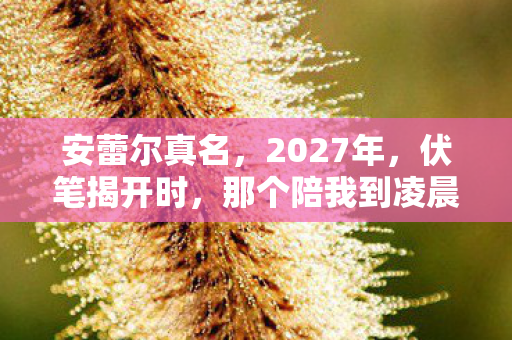 安蕾尔真名，2027年，伏笔揭开时，那个陪我到凌晨三点的她让我鼻子一酸